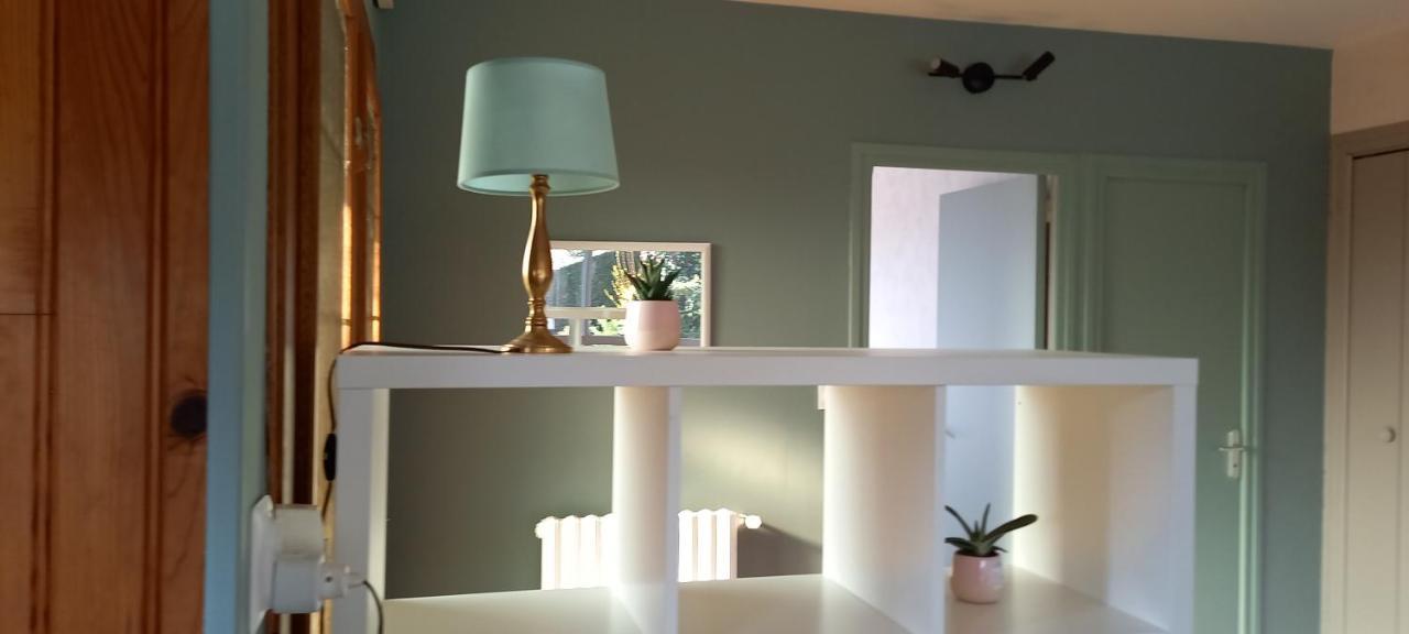 Terrasse, Jardin,, Appartement 80M², Vue Montagne, Wifi, Bureau Bagnères-de-Bigorre Esterno foto